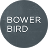 bowerbird | Resonant Cloud Solutions